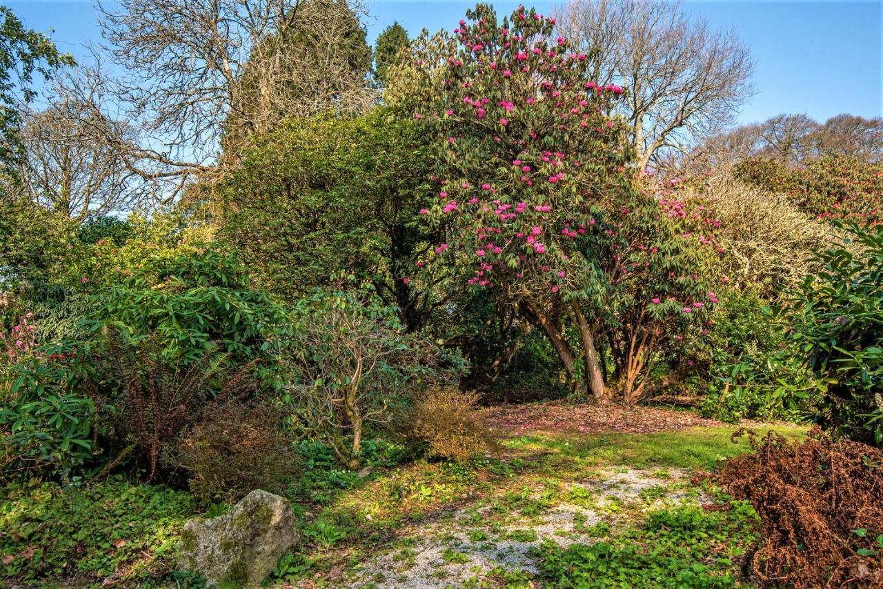 Bosvathick Cottage Constantine Exteriér fotografie