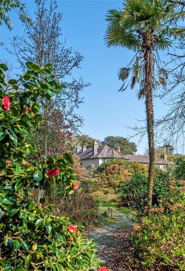 Bosvathick Cottage Constantine Exteriér fotografie